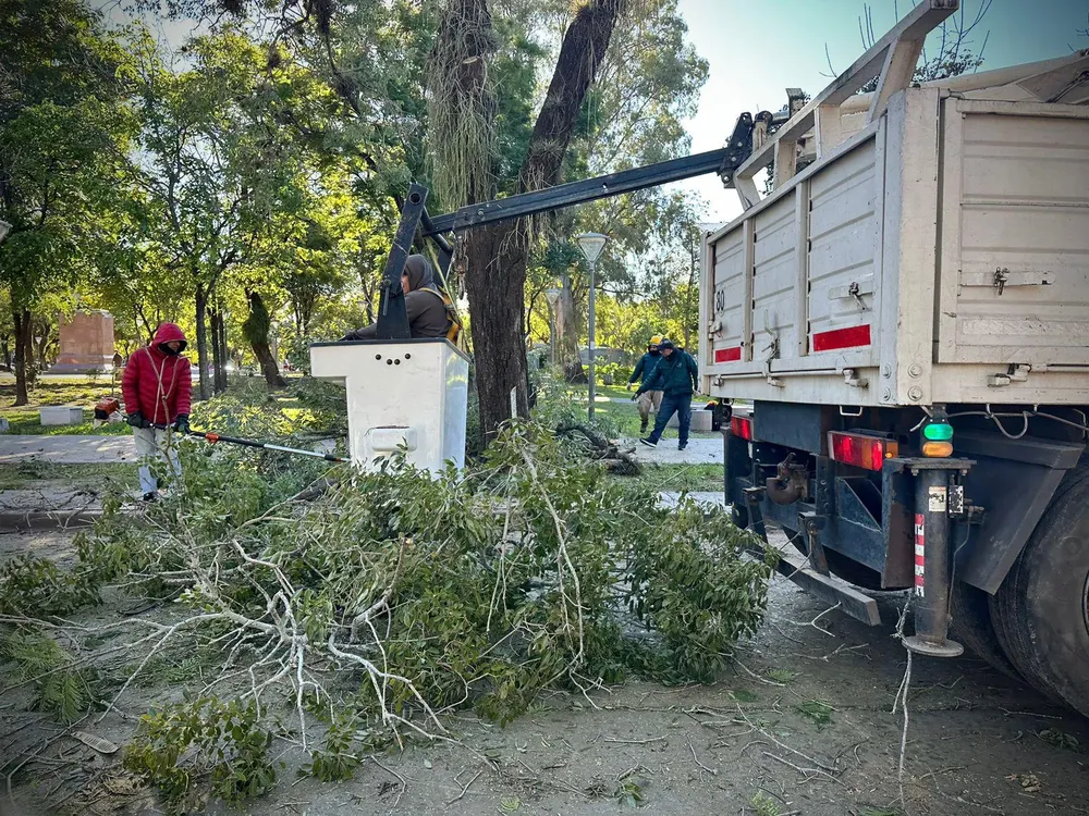 WhatsApp Image 2025-06-30 at 12.05.24