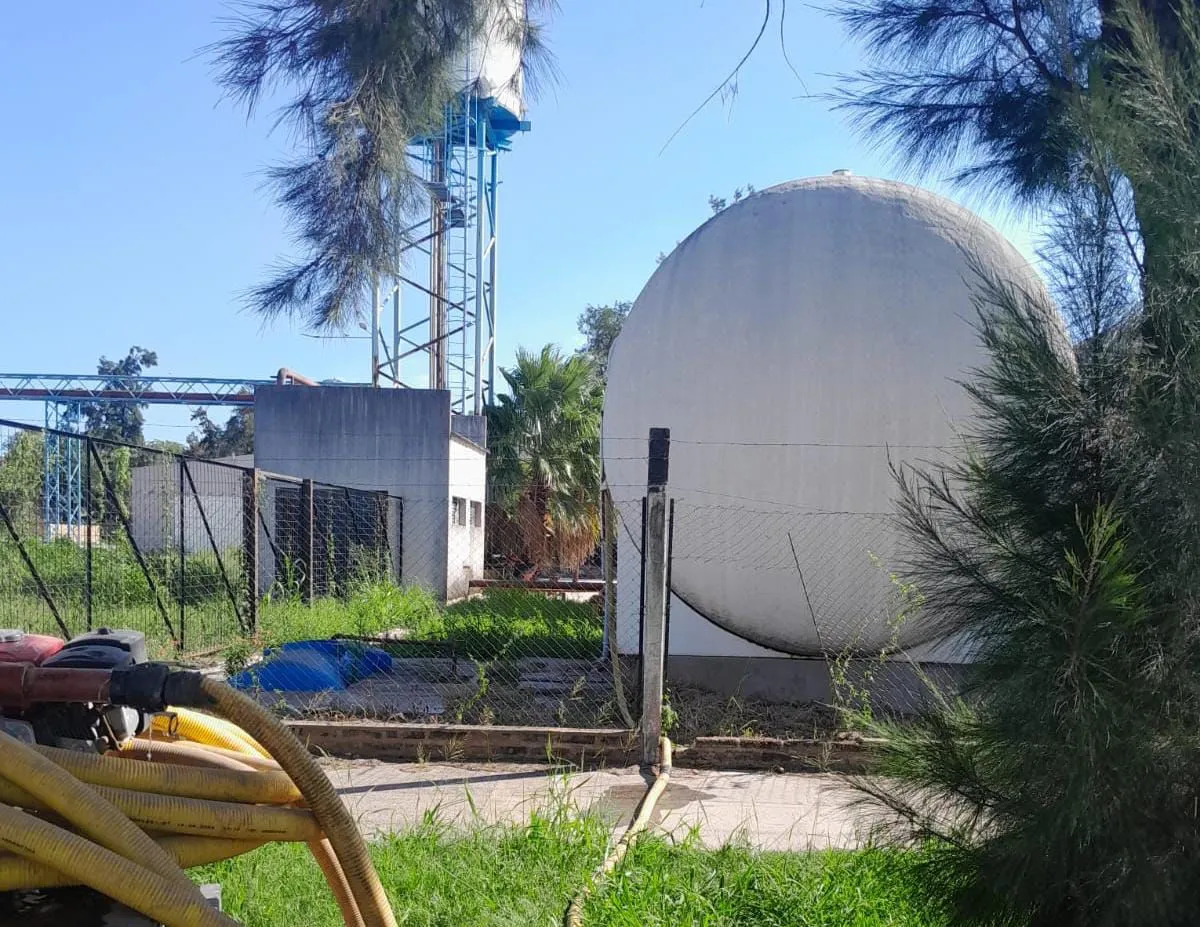 WhatsApp Image 2026-01-04 at 19.25.42