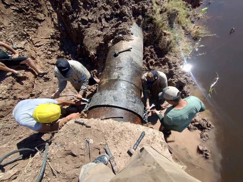 WhatsApp Image 2025-10-18 at 20.14.06