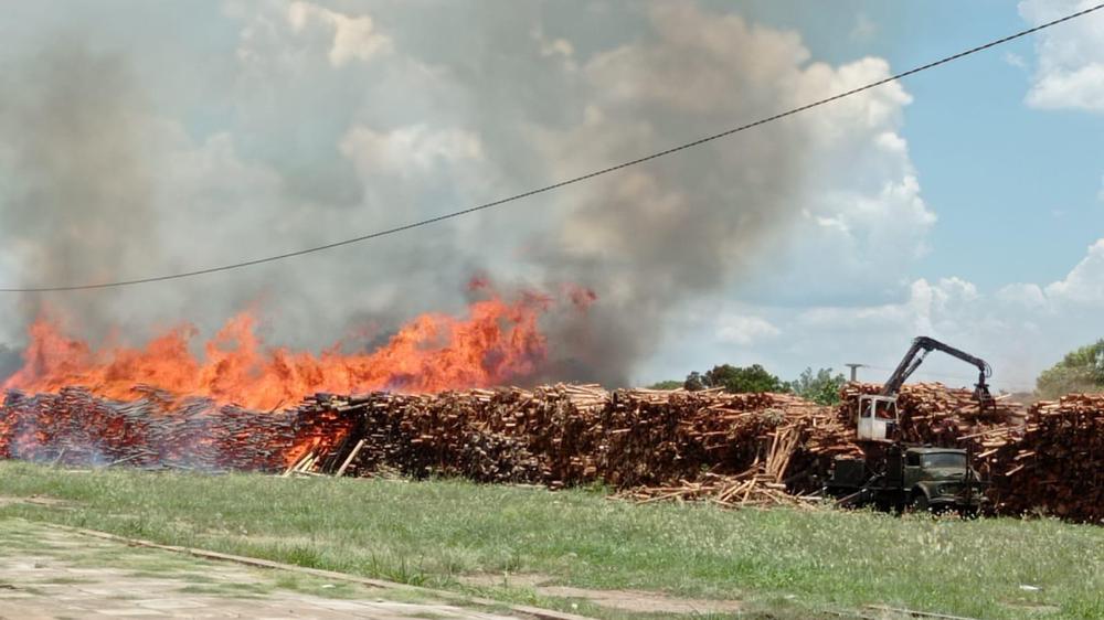 WhatsApp Image 2023-01-26 at 14.09.32