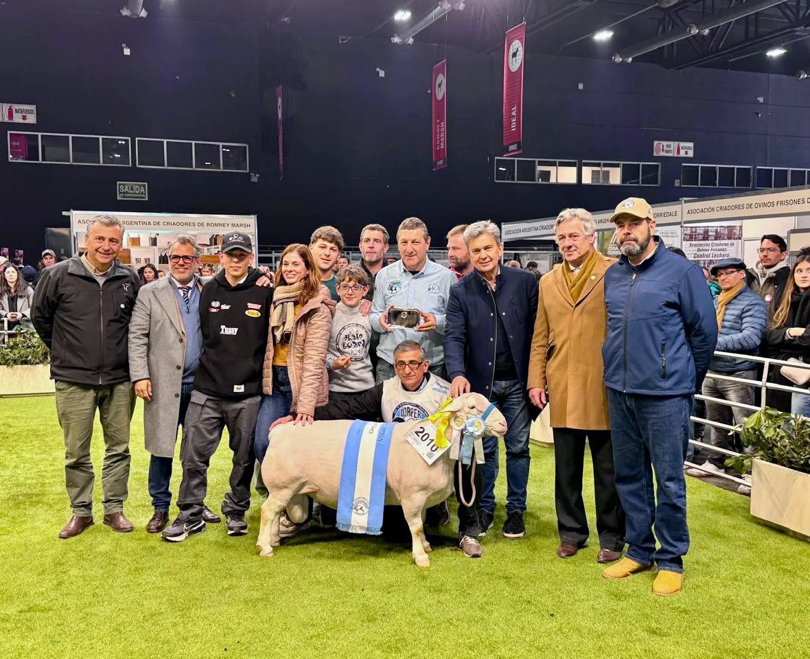 Imagen de WhatsApp 2025-07-23 a las 15.11.18_ffd8216b