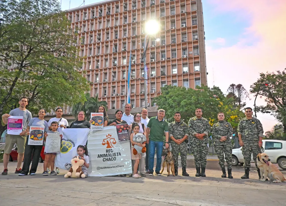 WhatsApp Image 2025-12-31 at 08.30.46 (1)