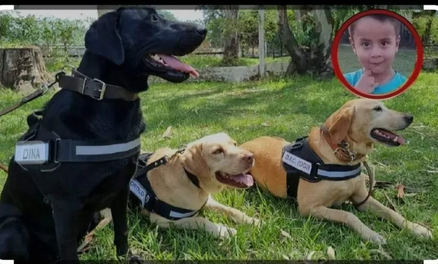 448909974_933485218792416_6153740607712543826_n