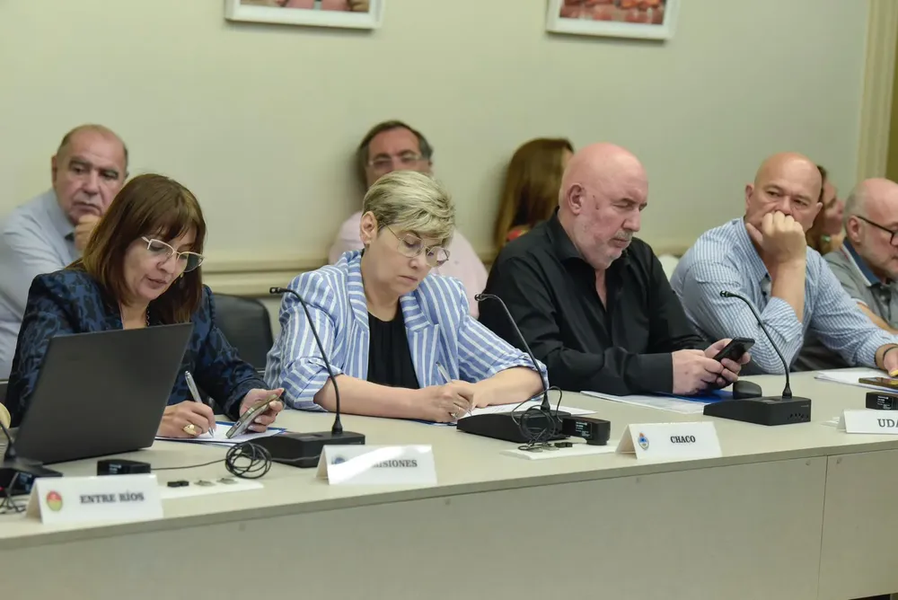 Imagen de WhatsApp 2024-11-17 a las 00.32.26_c12b1b3c