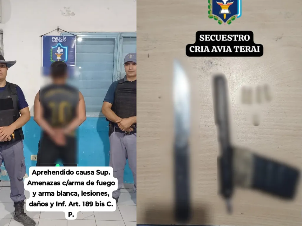 Presentación (43) (2)