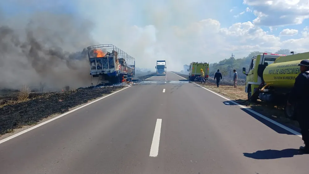 WhatsApp Image 2025-02-24 at 17.06.49