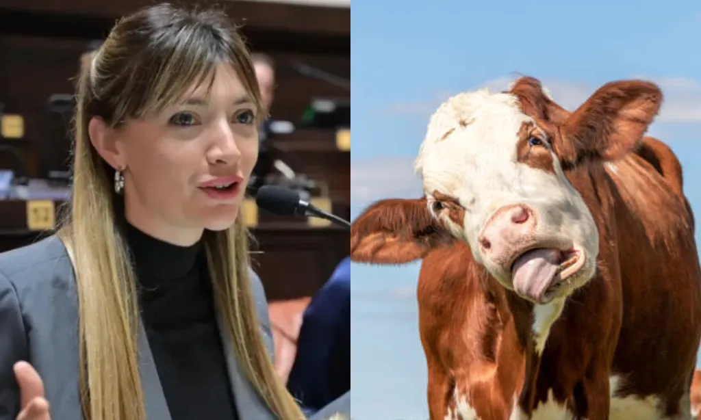 Presentación (43) (2)