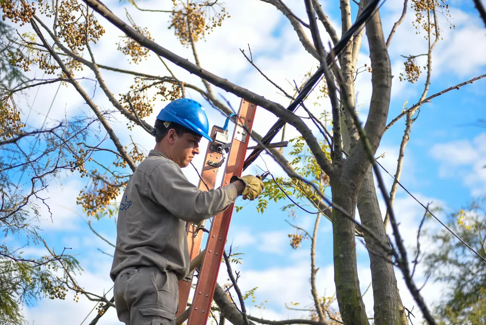 WhatsApp Image 2025-07-17 at 10.34.49