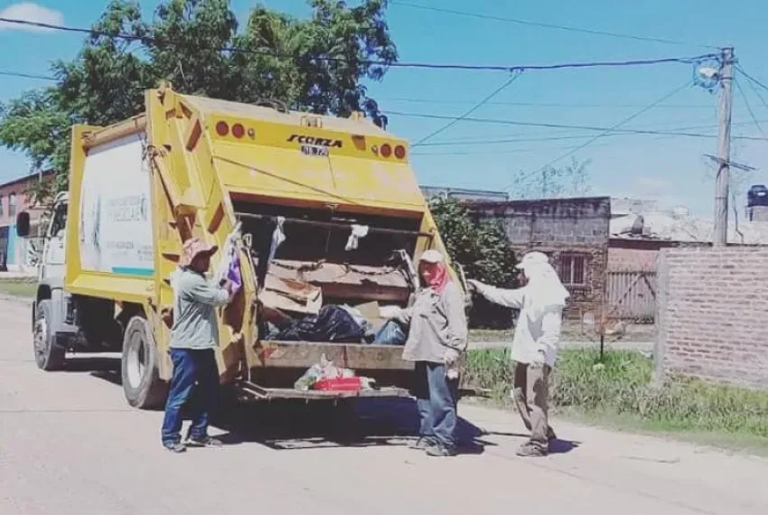 recolector barranqueras