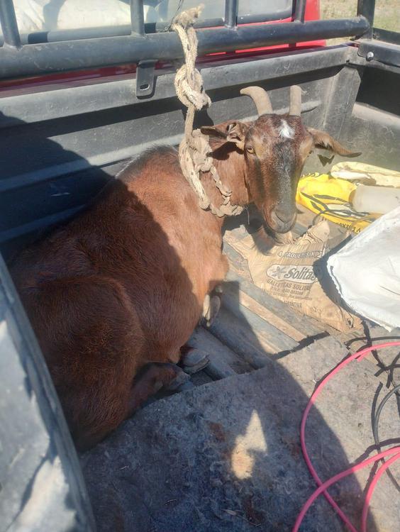 WhatsApp Image 2023-07-17 at 18.07.44