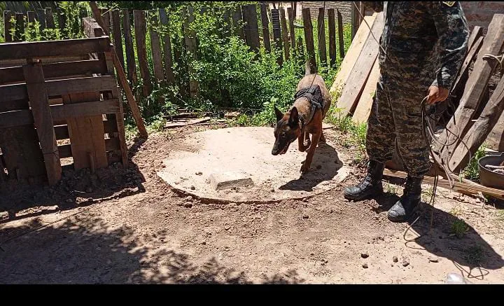 WhatsApp Image 2025-10-13 at 17.48.51 (1)