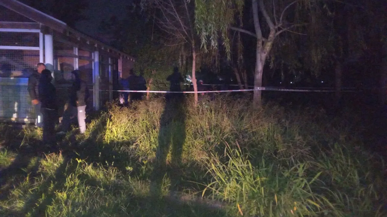 WhatsApp Image 2025-06-03 at 19.58.21