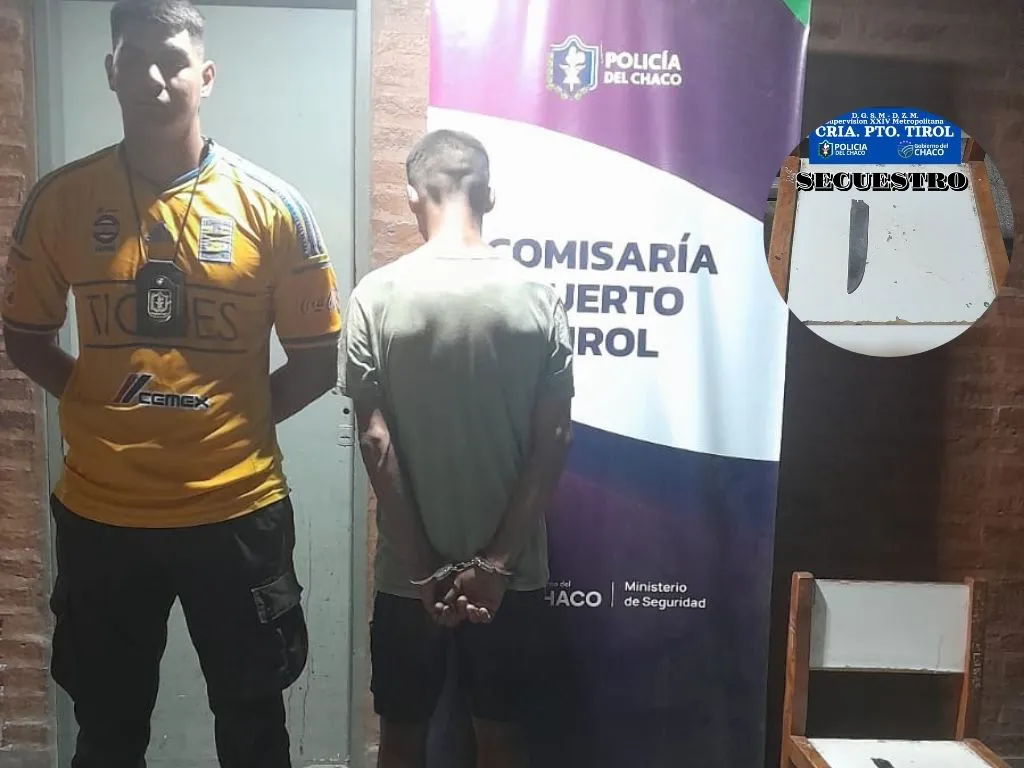 Presentación (43) (21)