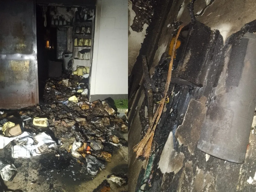 Presentación (43) (2)