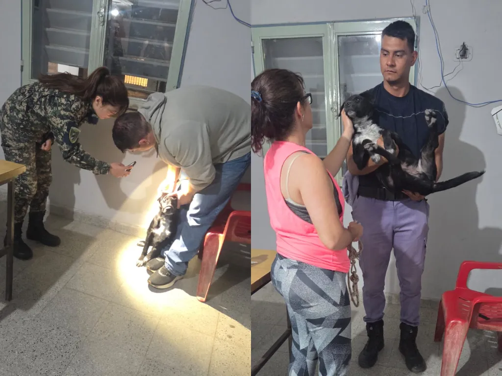 Presentación (43) (2)