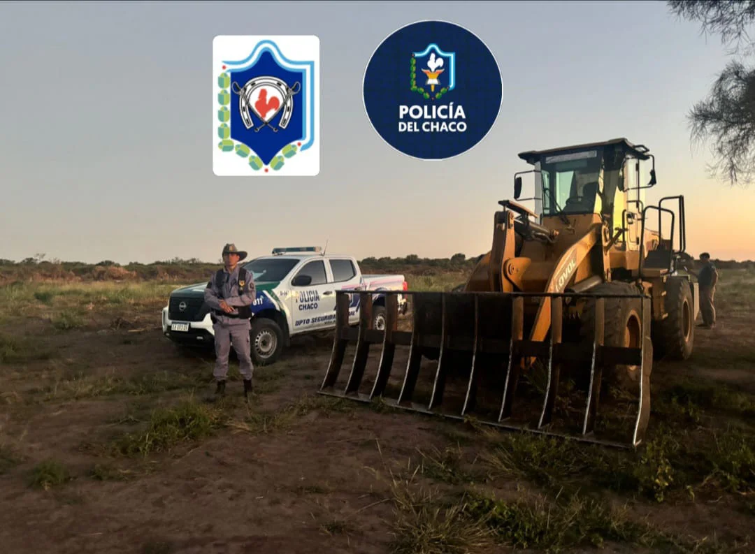 WhatsApp Image 2026-02-17 at 22.21.03