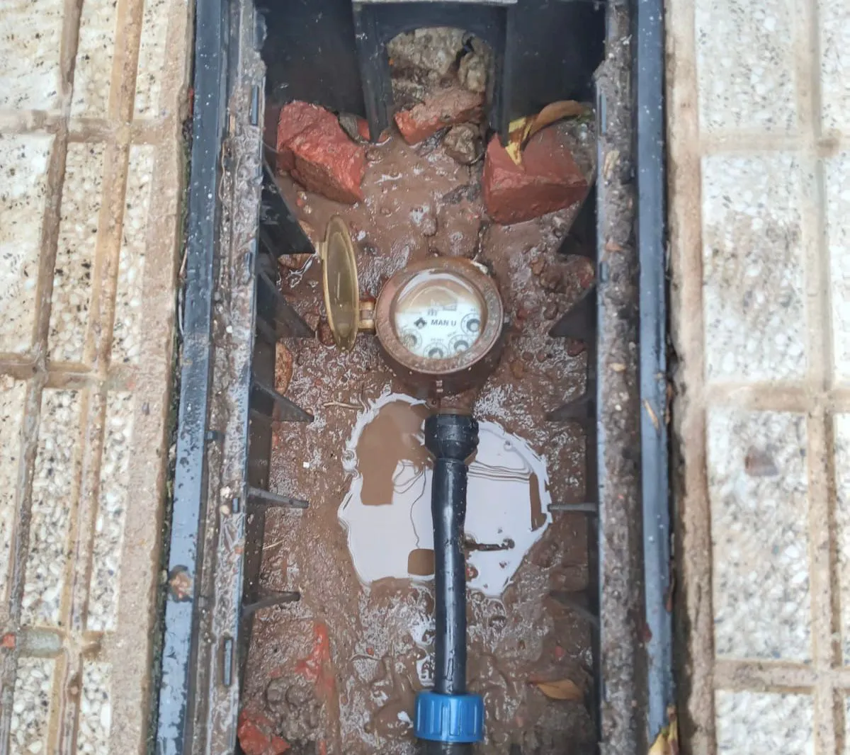 WhatsApp Image 2025-11-08 at 15.36.29