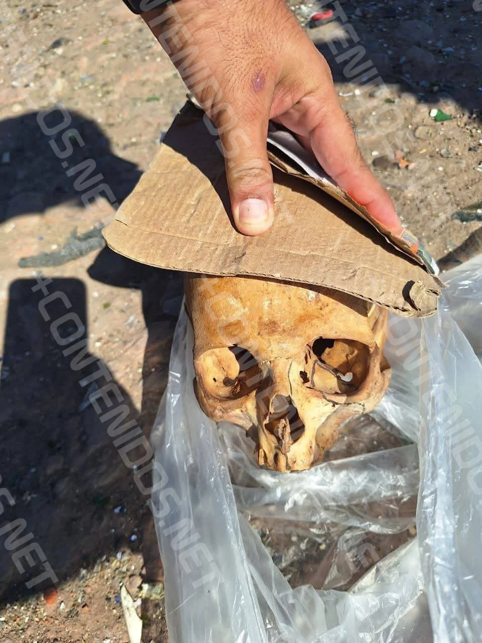 WhatsApp Image 2026-02-25 at 11.21.40