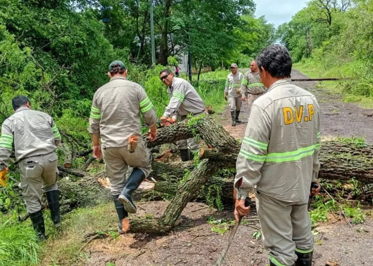 WhatsApp Image 2025-10-25 at 16.02.08