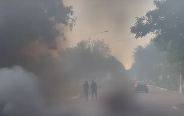 WhatsApp Image 2025-11-19 at 05.47.21