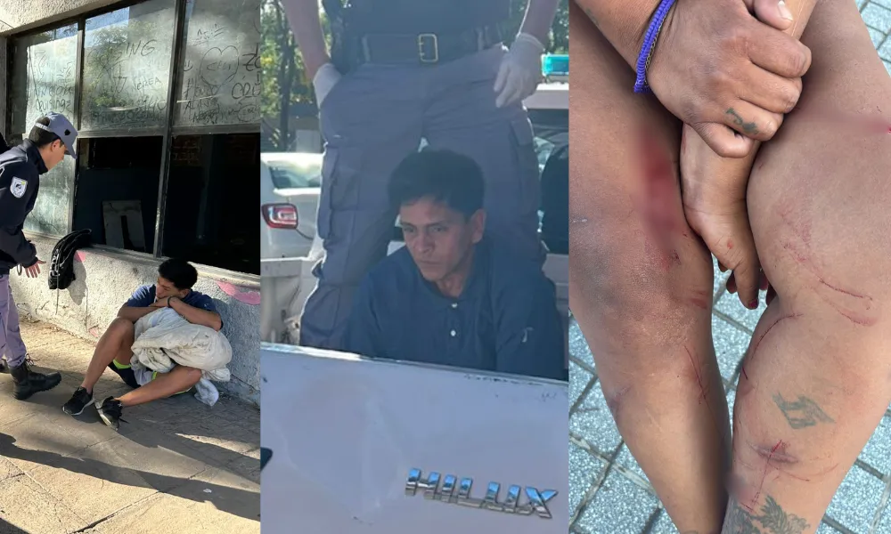 Presentación (43) (2)