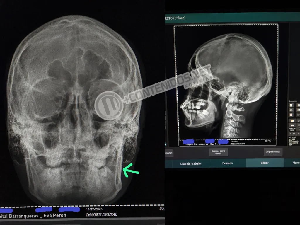 Presentación (43) (3)