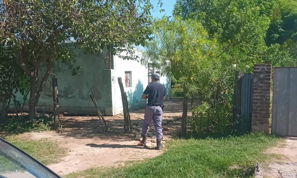 WhatsApp Image 2026-02-04 at 17.22.03