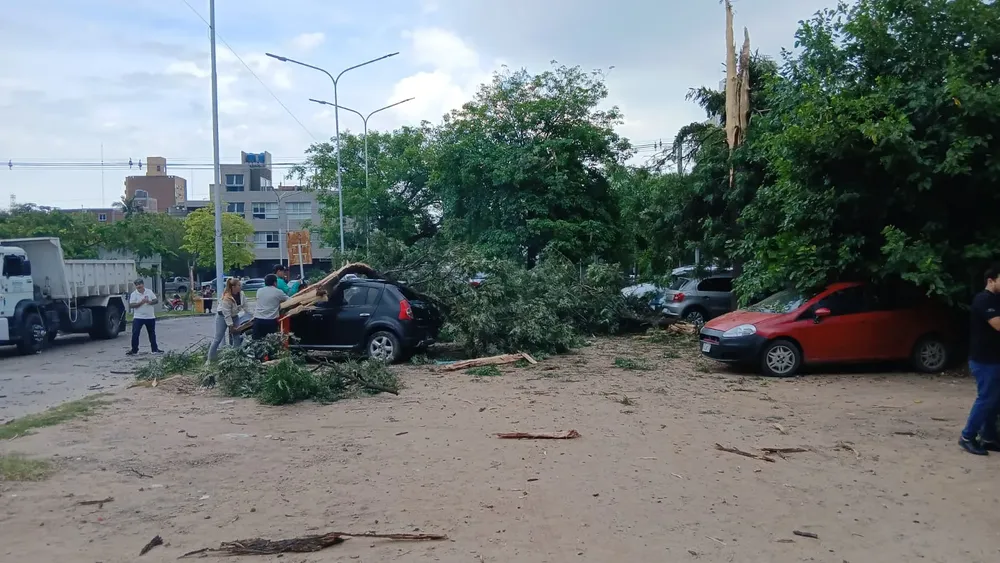 WhatsApp Image 2025-11-28 at 09.42.12