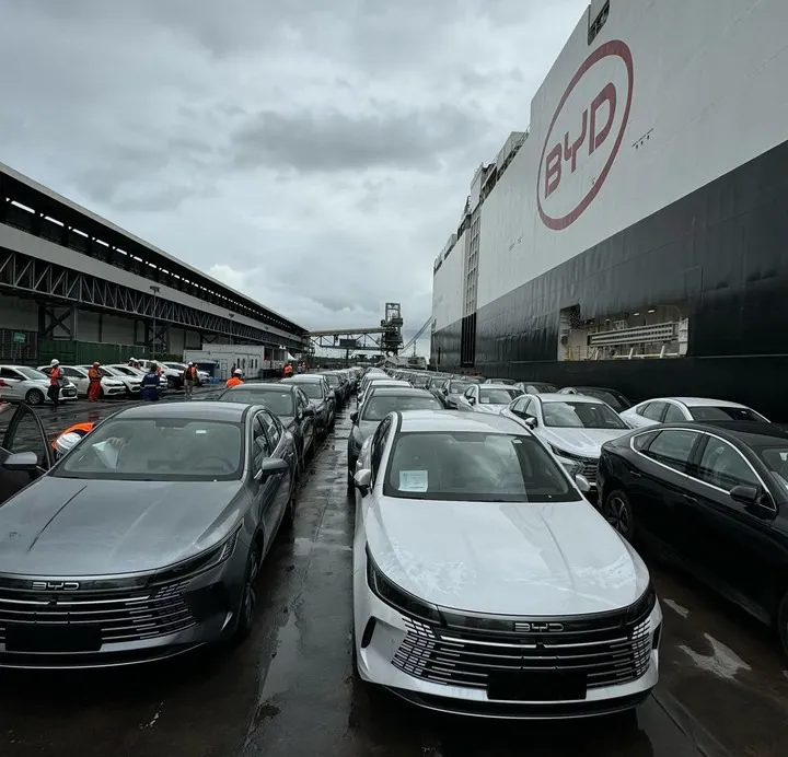 image - 2026-01-19T201203.851