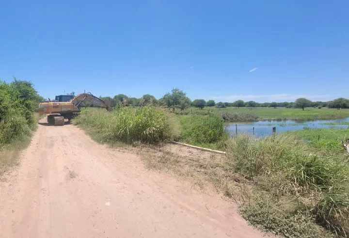 WhatsApp Image 2026-01-17 at 12.33.05