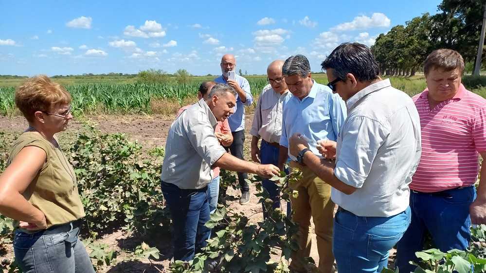 641a05394447d015983994