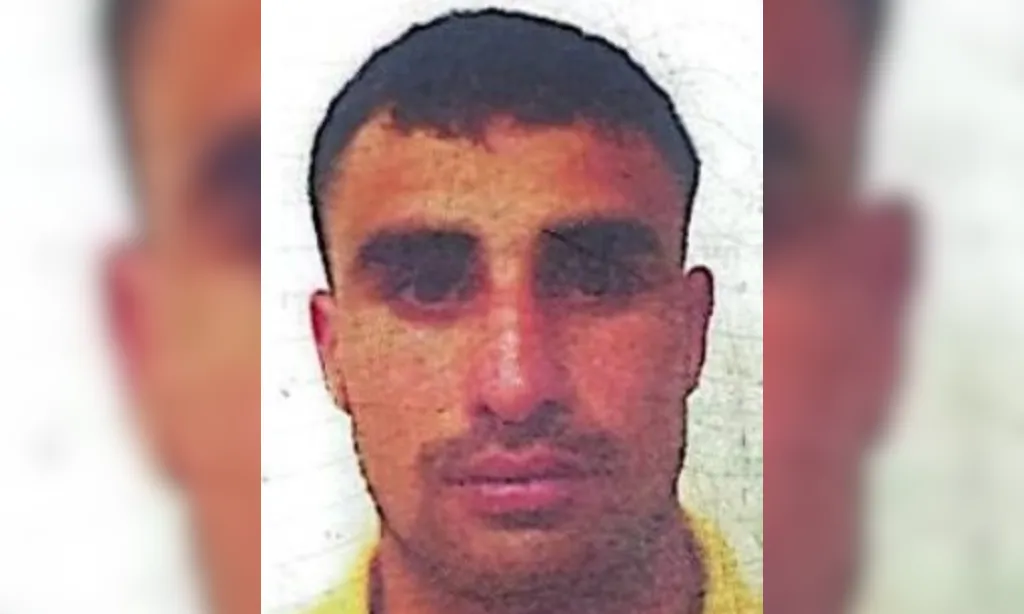 Presentación (43) (2)