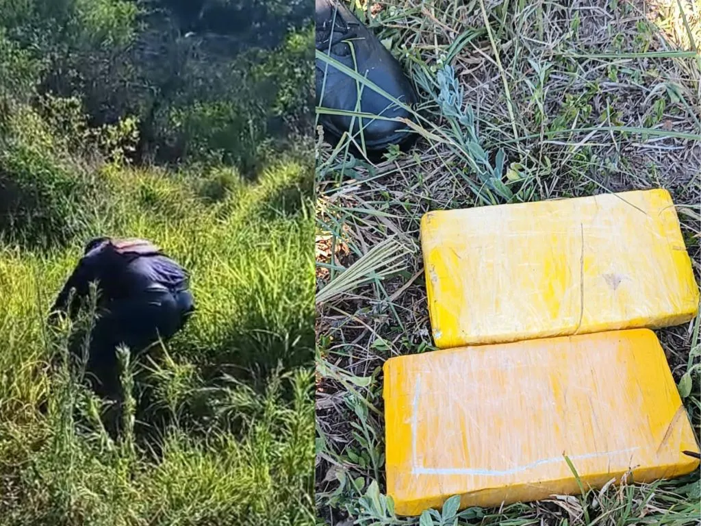 Presentación (43) (4)