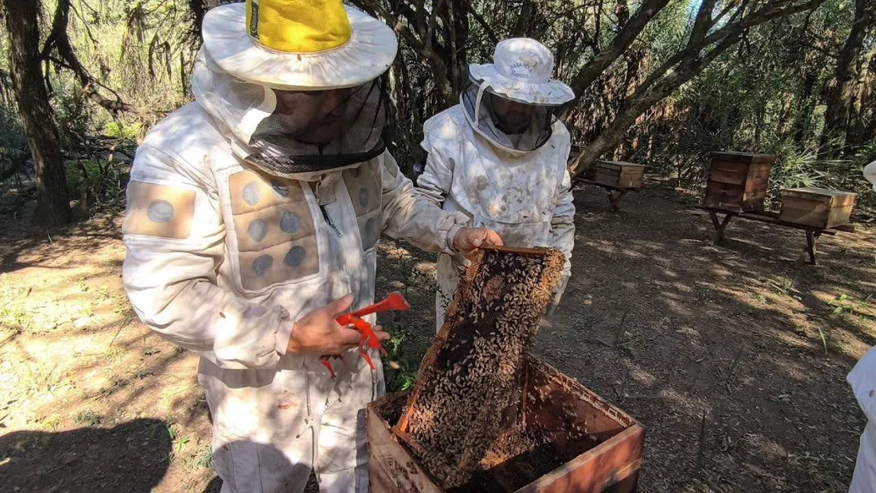 WhatsApp Image 2025-08-13 at 09.16.09