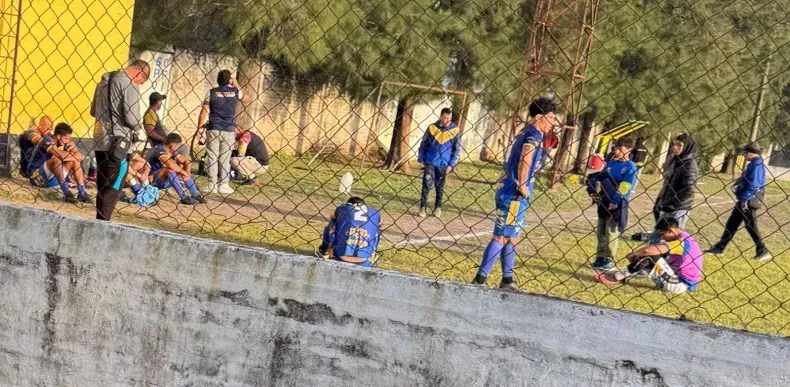 WhatsApp Image 2025-06-01 at 19.46.36