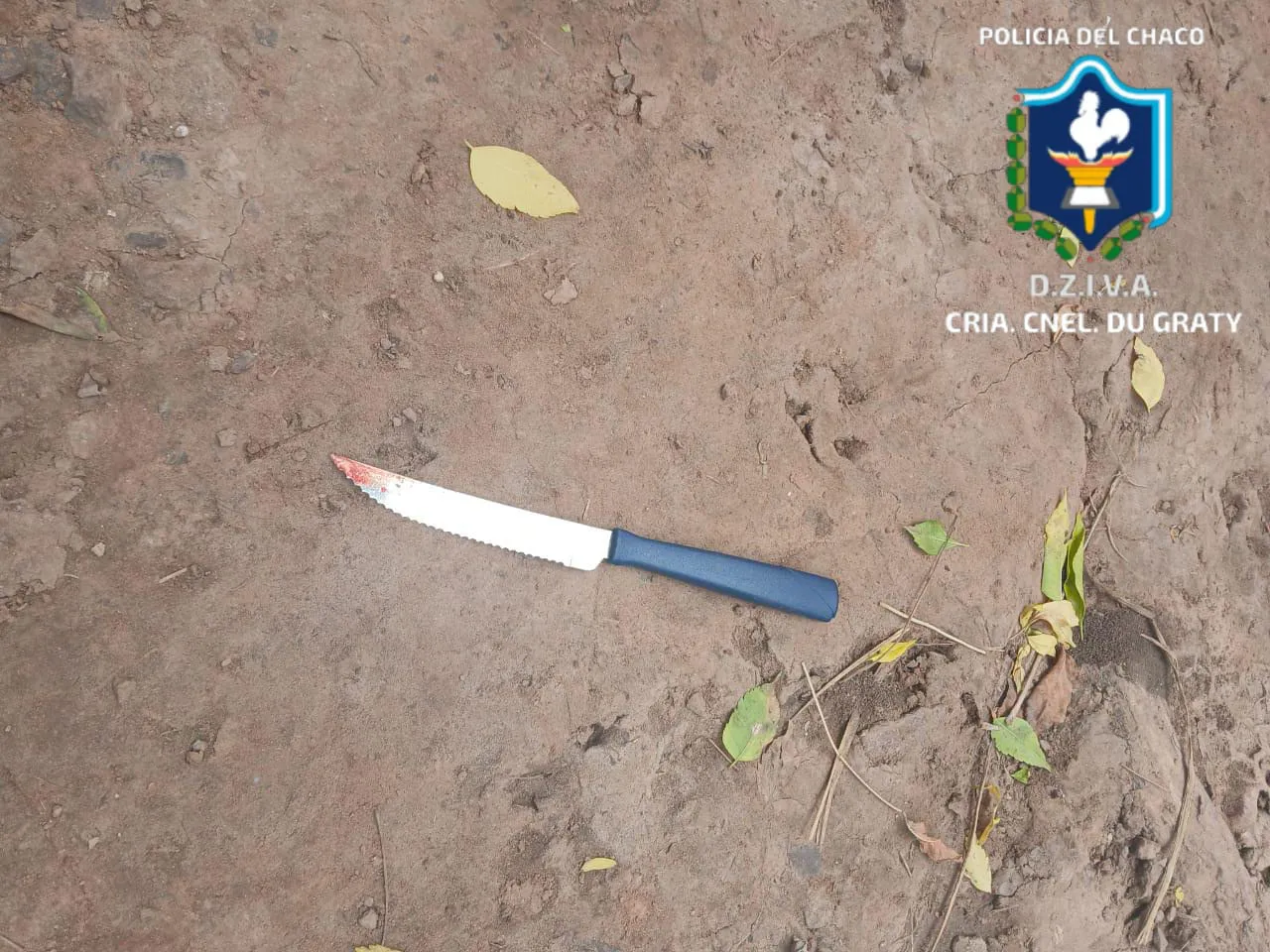 WhatsApp Image 2026-01-19 at 16.49.48