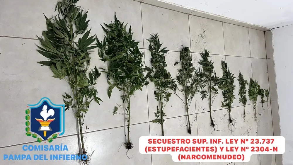 WhatsApp Image 2025-11-07 at 05.37.33