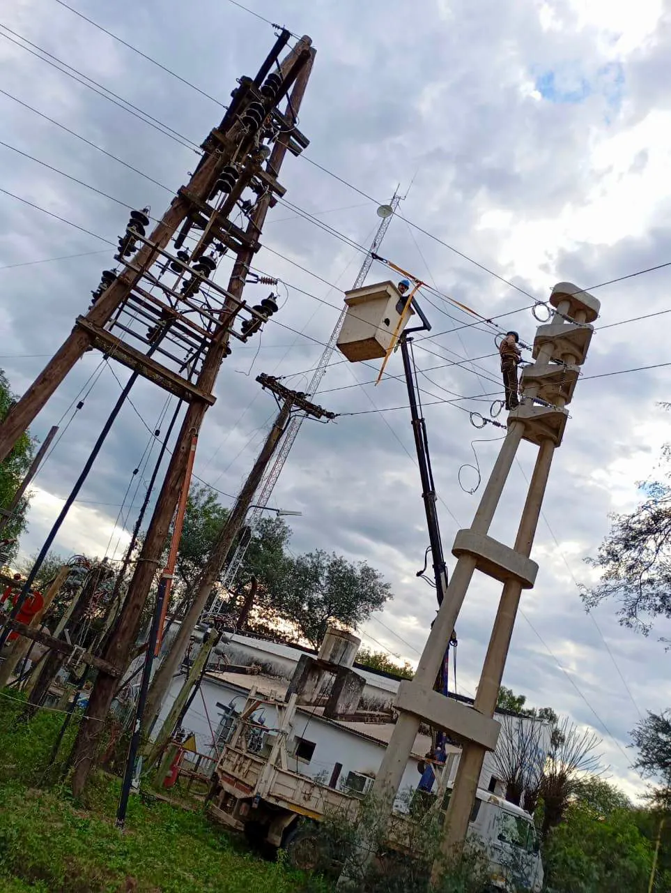 WhatsApp Image 2025-07-25 at 18.17.59