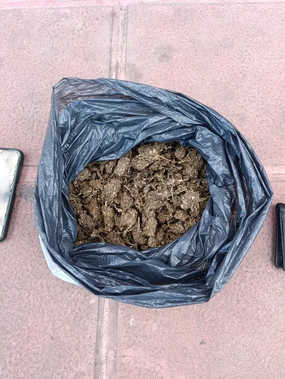 WhatsApp Image 2025-12-27 at 19.33.02