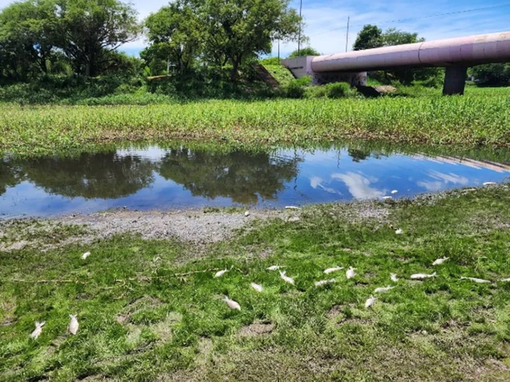 WhatsApp Image 2025-12-02 at 14.27.35