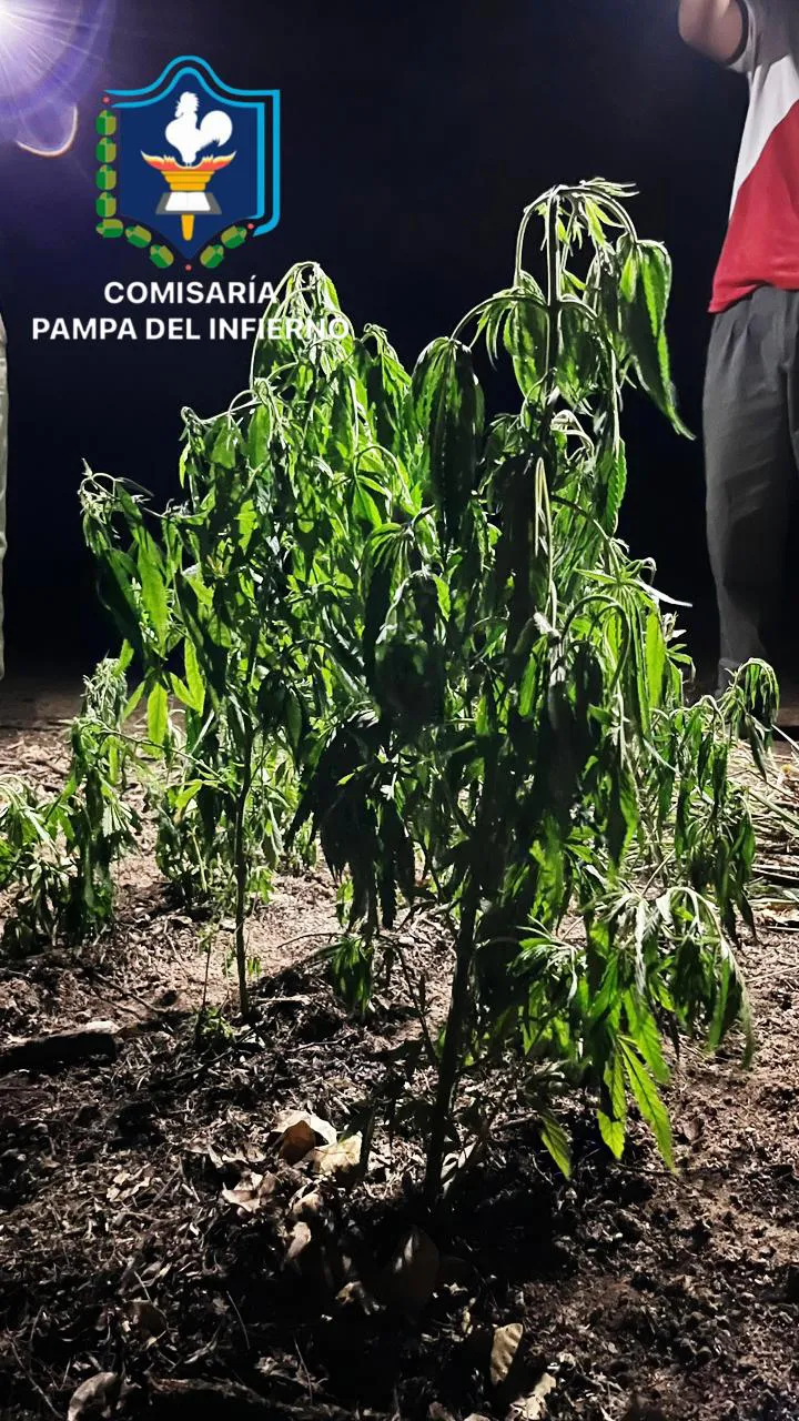 WhatsApp Image 2025-11-07 at 05.37.32