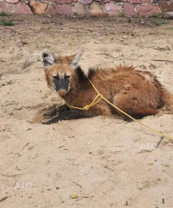 WhatsApp Image 2025-05-26 at 13.23.18