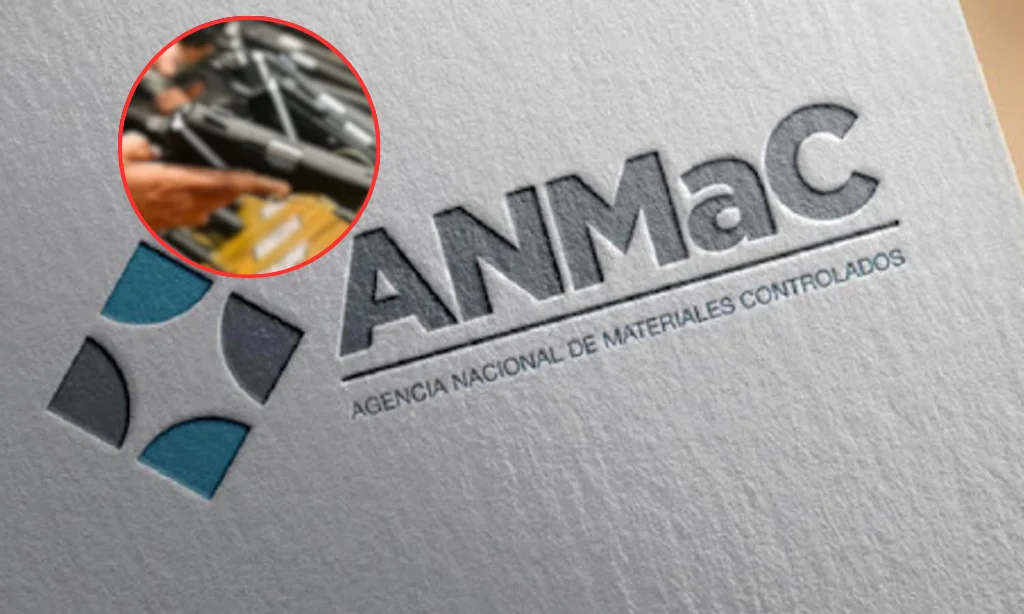 Presentación (43) (1)