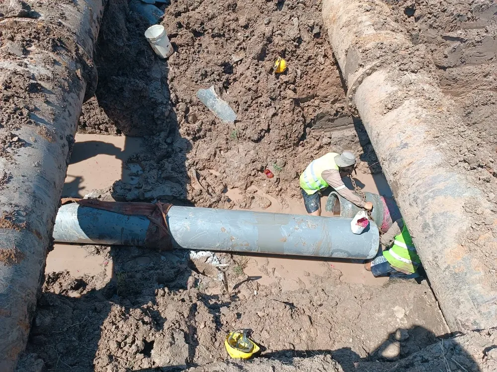 WhatsApp Image 2026-04-01 at 07.24.20