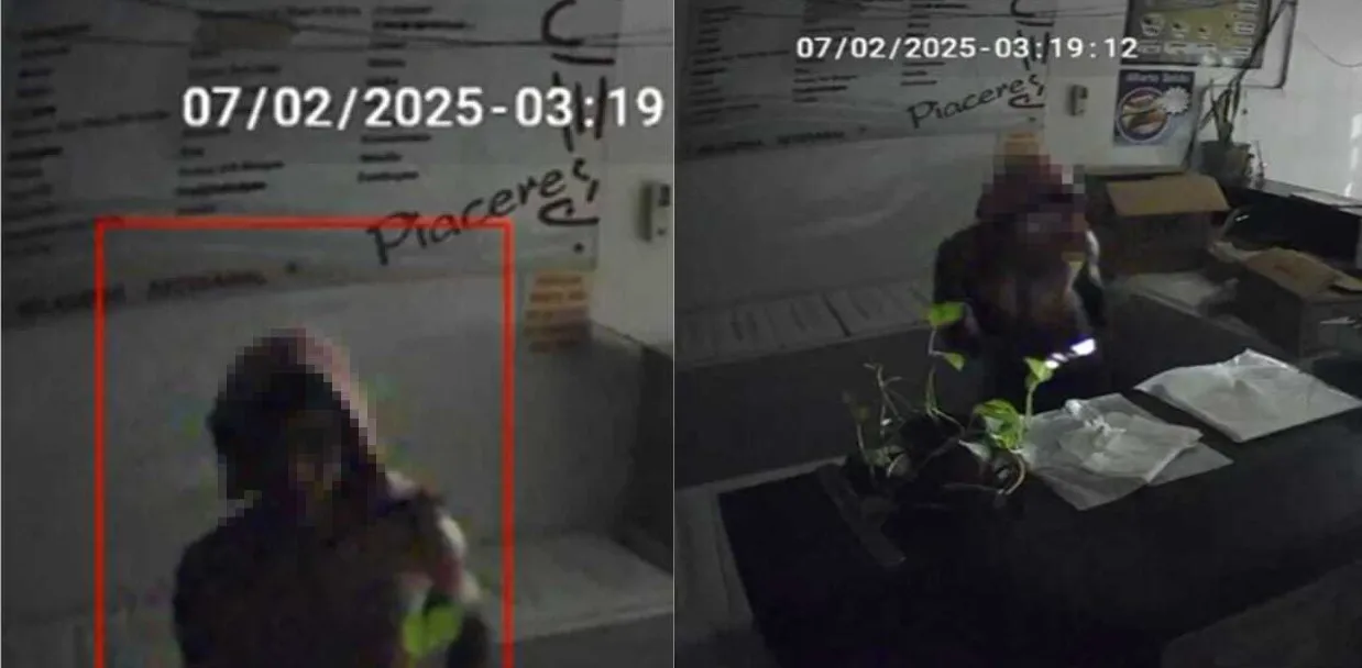 WhatsApp Image 2025-02-07 at 17.50.50