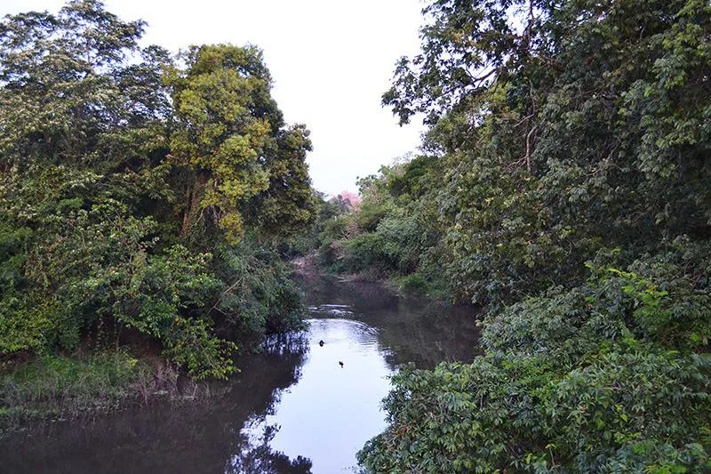 WhatsApp Image 2025-06-11 at 12.16.57