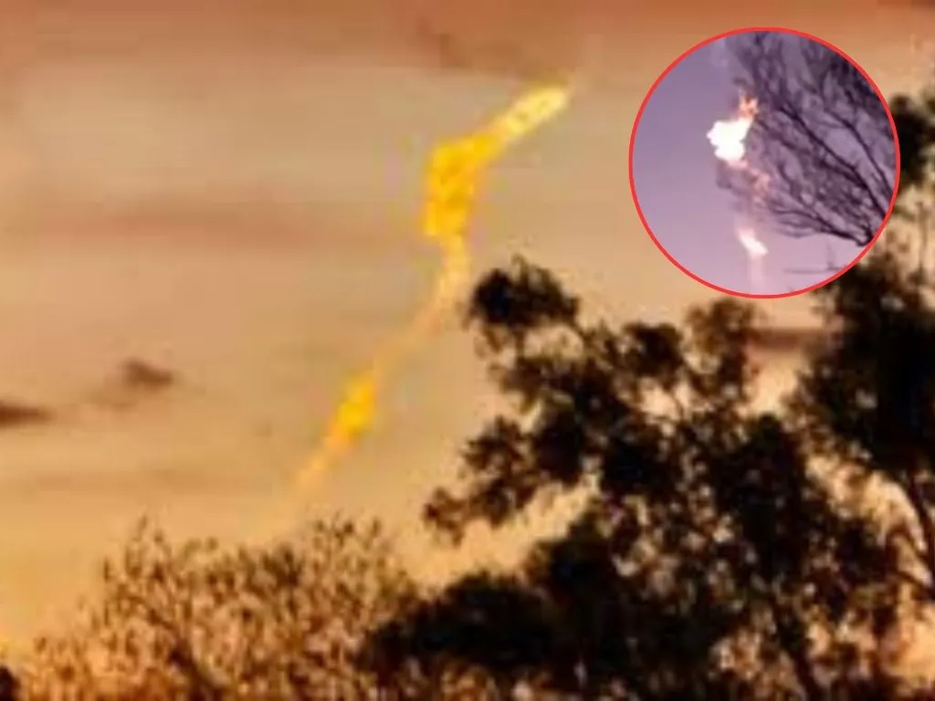 Presentación (43) (15)