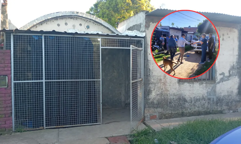 Presentación (43) (4)