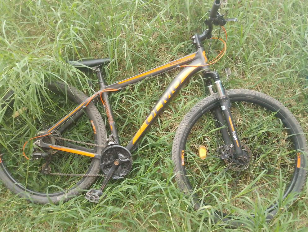 WhatsApp Image 2023-04-17 at 17.31.03