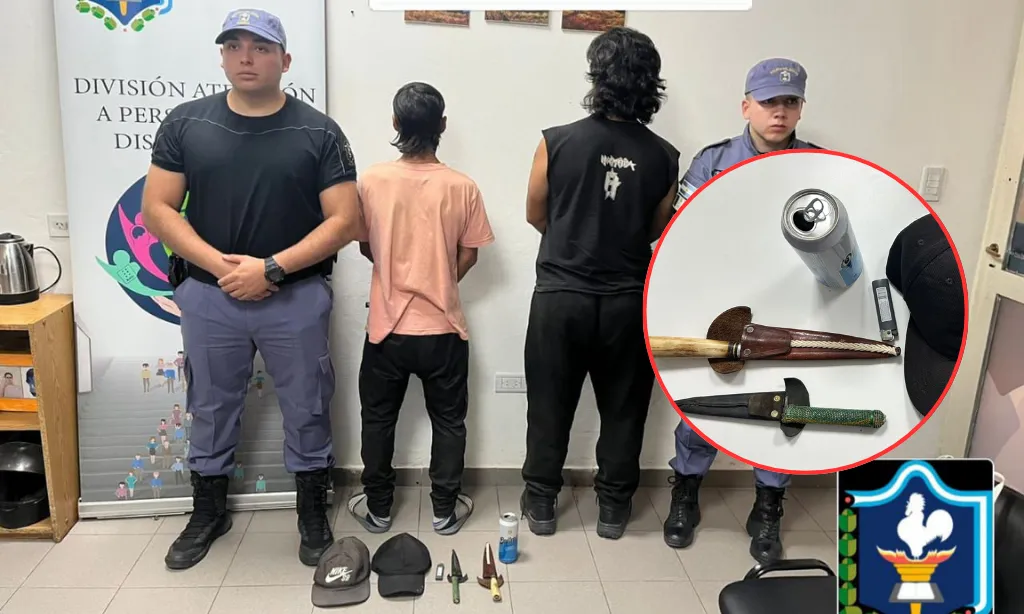 Presentación (43) (2)